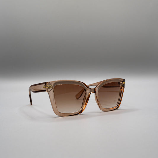 Brasilia Brun - Solar Vision