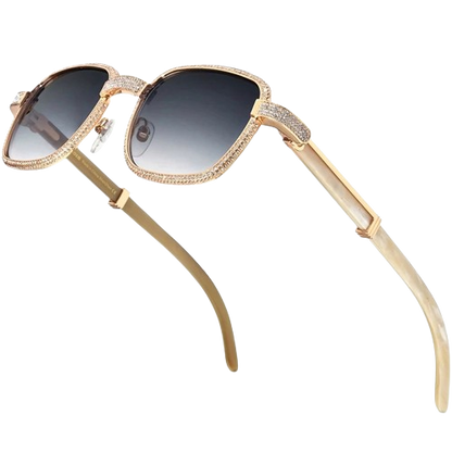 Venetia Solar Vision